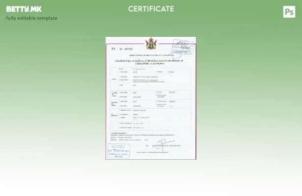 Модерен стил шаблон за извод од матична книга на родените Зимбабве во шаблон PSD